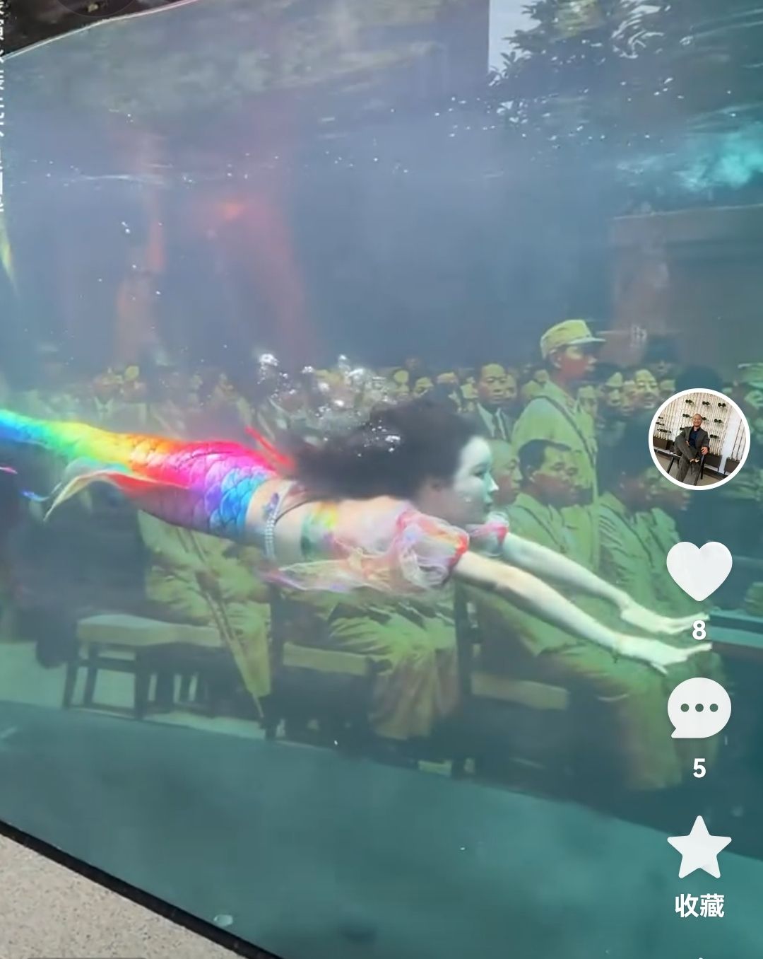 你個(gè)老六哦 龍魚論壇 第1張 你個(gè)老六哦 你個(gè)老六哦 龍魚論壇 第1張