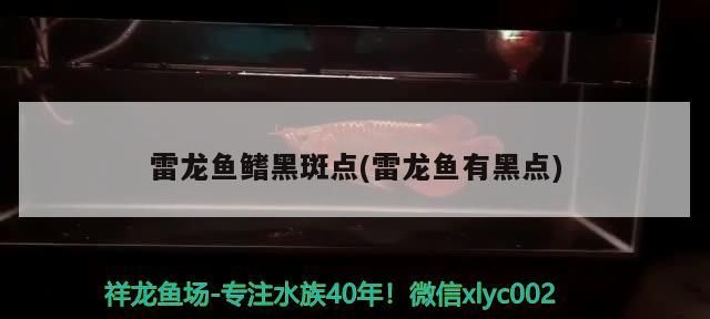 雷龍魚(yú)鰭黑斑點(diǎn)(雷龍魚(yú)有黑點(diǎn))