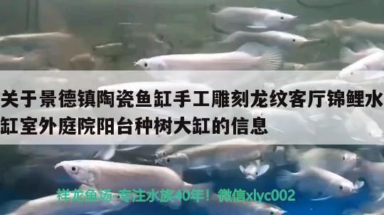 關(guān)于景德鎮(zhèn)陶瓷魚缸手工雕刻龍紋客廳錦鯉水缸室外庭院陽臺種樹大缸的信息
