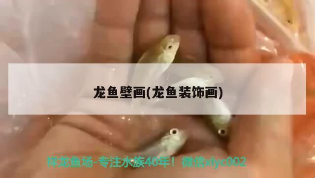 魚缸用增氧泵價格是多少:魚缸增氧機(jī)-xtrac增氧機(jī)-xtrac增氧機(jī) 龍魚壁畫(龍魚裝飾畫) 觀賞魚百科 龍魚壁畫(龍魚裝飾畫) 龍魚壁畫(龍魚裝飾畫) 觀賞魚百科