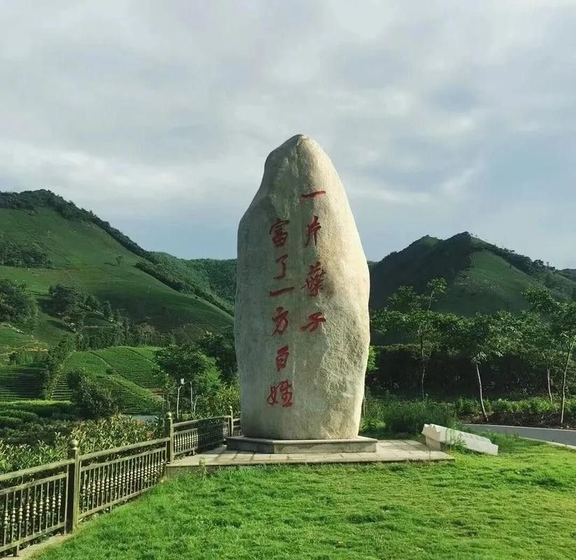 金龍魚的養殖方法，古代的龍魚種類有哪些 金龍魚的養殖方法，古代的龍魚種類有哪些 觀賞魚百科 第1張