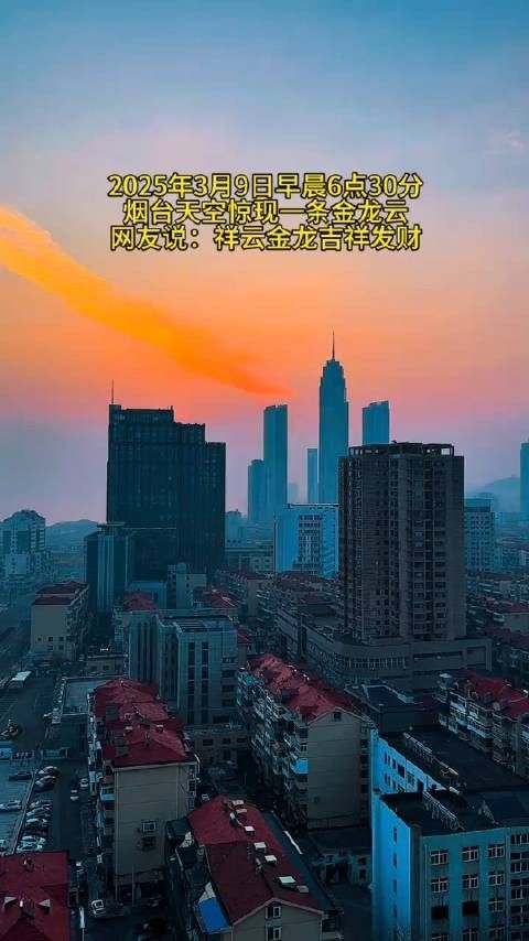 祥云金龍魚 祥云金龍魚 觀賞魚百科 第10張