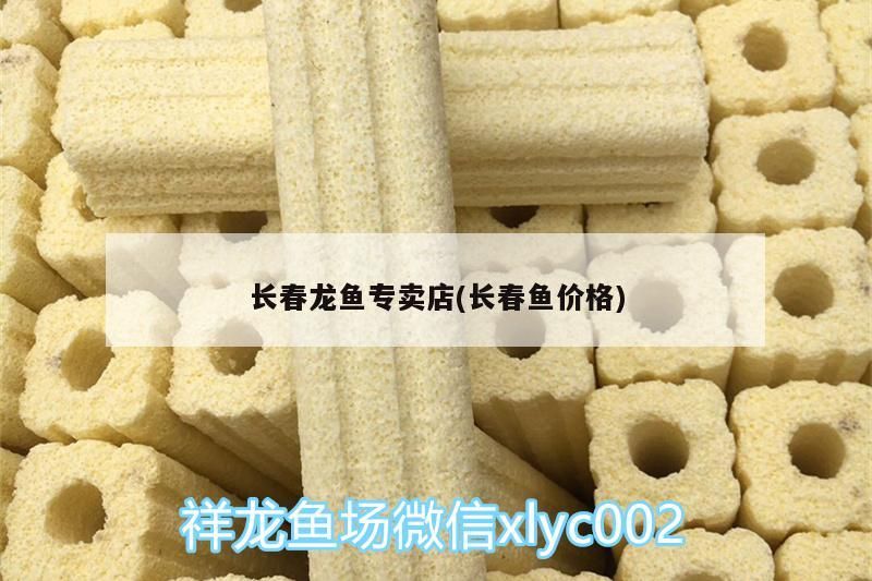 長春龍魚專賣店(長春魚價格)