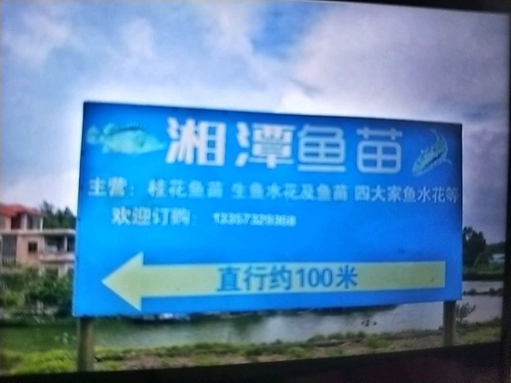 湘潭魚苗批發市場 湘潭魚苗批發市場 觀賞魚百科 第1張