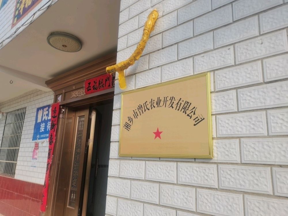 湘潭魚苗批發市場 湘潭魚苗批發市場 觀賞魚百科 第3張