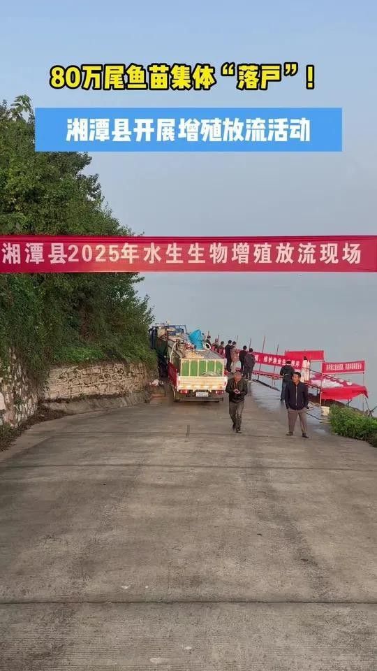 湘潭魚苗批發市場 湘潭魚苗批發市場 觀賞魚百科 第7張