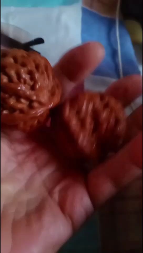 印尼虎魚多少溫度飼養最好:印尼虎魚多少溫度飼養最好印尼虎魚多少溫度飼養最好 精品大粗筋,45+邊,46+肚,40高無修 龍魚論壇 精品大粗筋,45+邊,46+肚,40高無修 精品大粗筋,45+邊,46+肚,40高無修 龍魚論壇