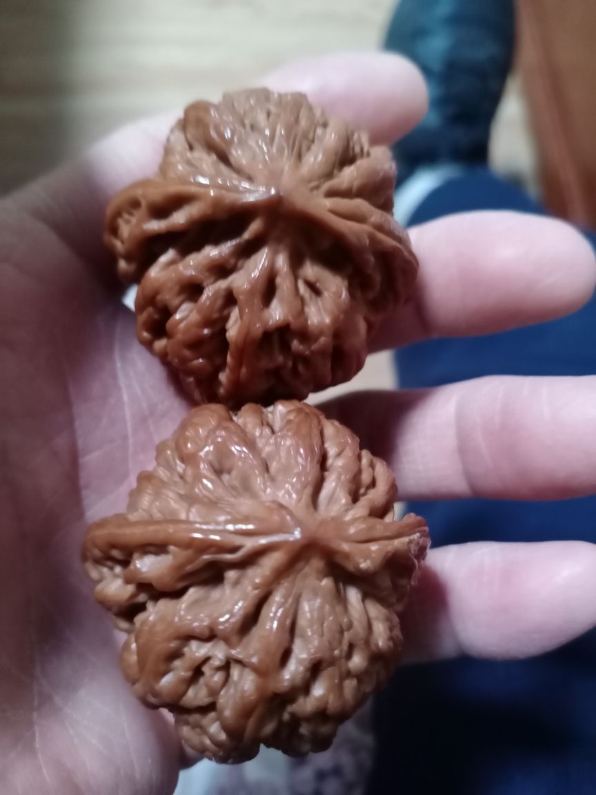 大粗筋邊45+，肚46+，高40精品無修，八筋俱頂霸氣側漏，有緣者得，瞧好不退不換！