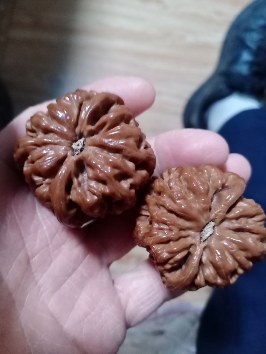 大粗筋邊45+，肚46+，高40精品無修，八筋俱頂霸氣側漏，有緣者得，瞧好不退不換！