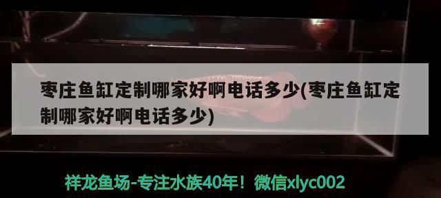棗莊魚缸定制哪家好啊電話多少(棗莊魚缸定制哪家好啊電話多少) 棗莊魚缸定制哪家好啊電話多少(棗莊魚缸定制哪家好啊電話多少) 觀賞魚百科