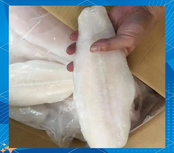 真正的龍利魚圖片