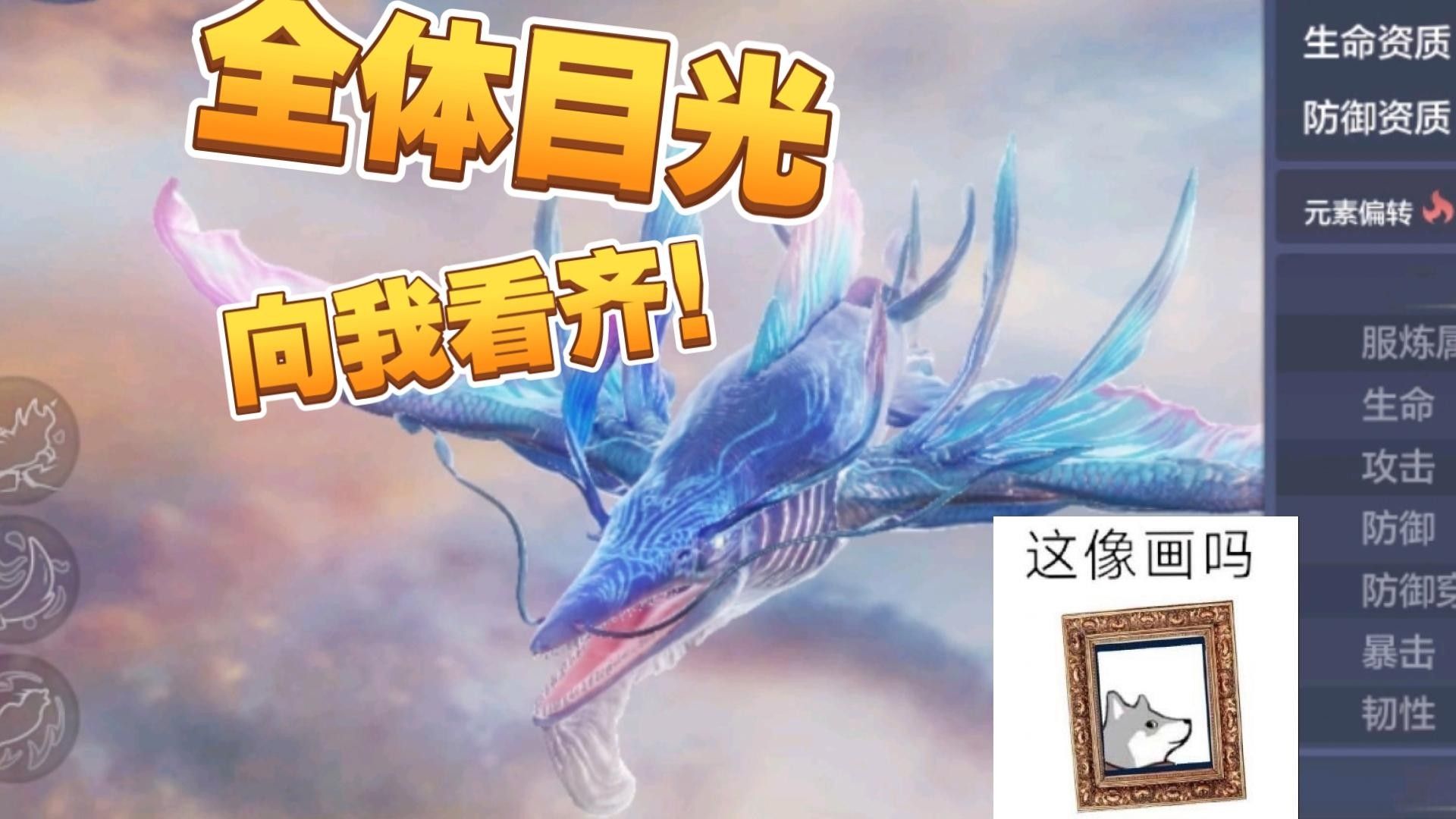 陽山龍魚