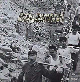 陽山龍魚