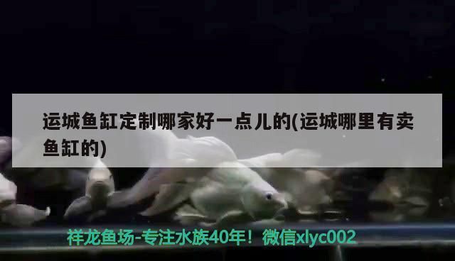 運城魚缸定制哪家好一點兒的(運城哪里有賣魚缸的) 運城魚缸定制哪家好一點兒的(運城哪里有賣魚缸的) 觀賞魚百科