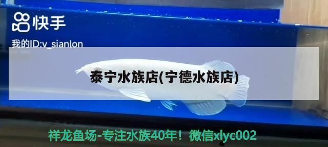泰寧水族店(寧德水族店)
