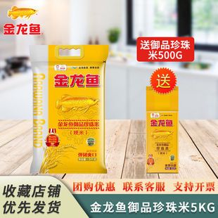 戰車紅龍與普通有什么不一樣嗎(紅龍戰車效果) 戰車紅龍與普通有什么不一樣嗎(紅龍戰車效果) 觀賞魚百科