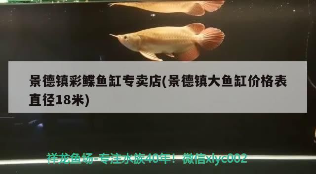 景德鎮彩鰈魚缸專賣店(景德鎮大魚缸價格表直徑18米)