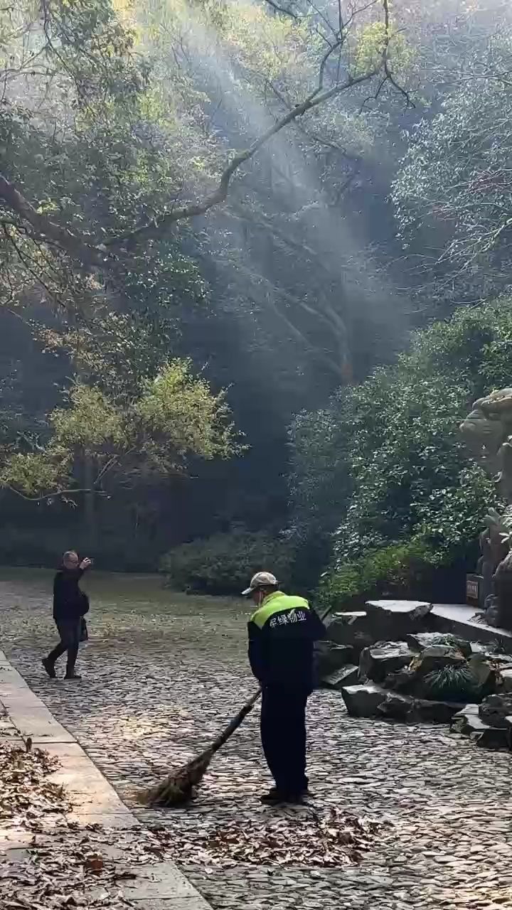 鸚鵡魚和銀龍魚混養怎樣喂食 清晨掃地僧 龍魚論壇 清晨掃地僧 清晨掃地僧 龍魚論壇
