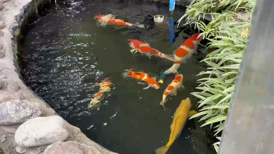 努力不一定成功，但是為不留遺憾