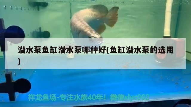 潛水泵魚缸潛水泵哪種好(魚缸潛水泵的選用)