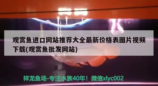 觀賞魚進(jìn)口網(wǎng)站推薦大全最新價(jià)格表圖片視頻下載(觀賞魚批發(fā)網(wǎng)站)