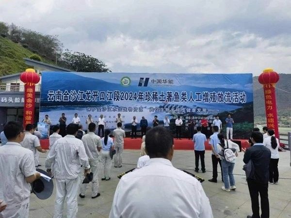 金沙江龍魚
