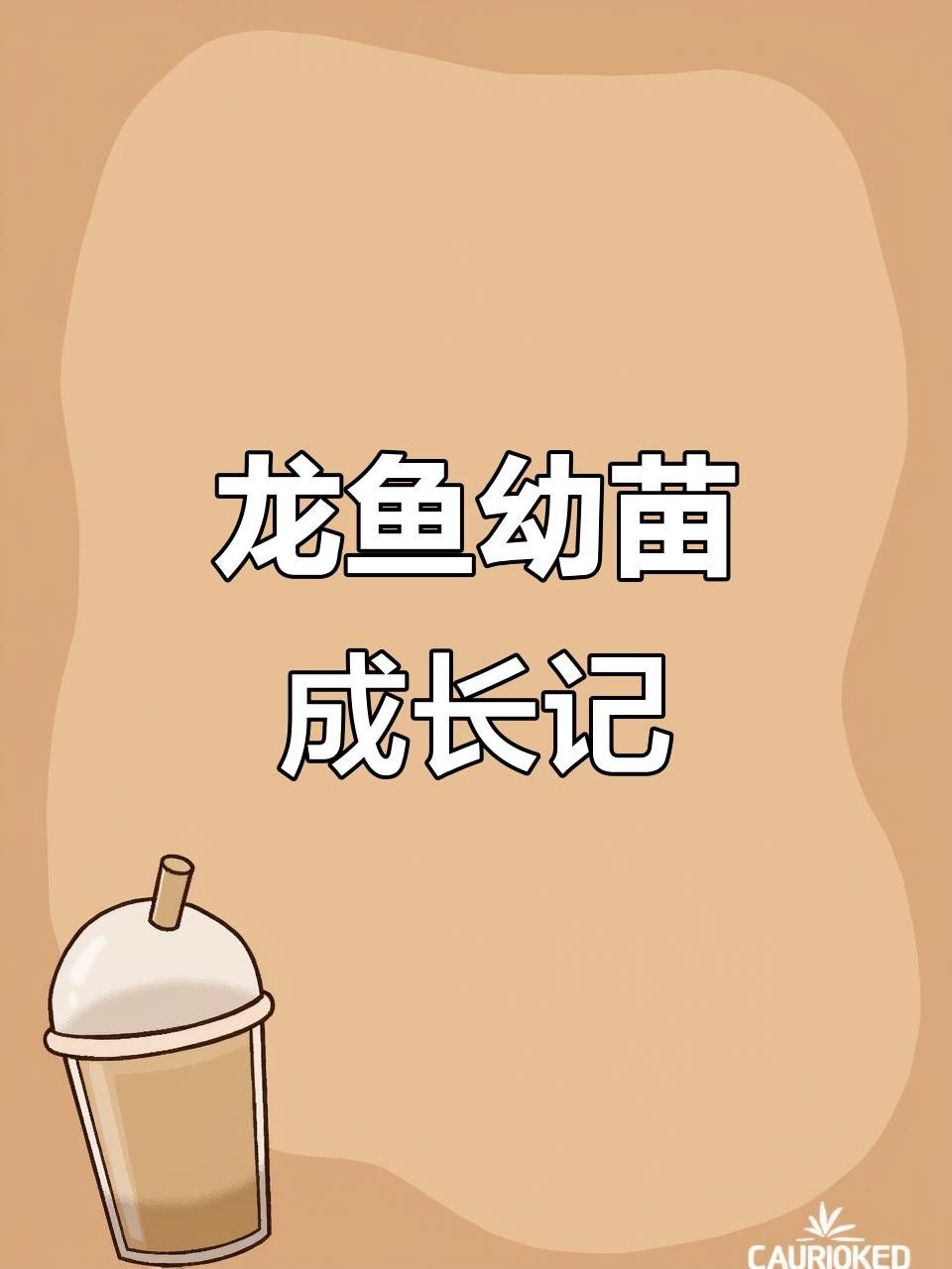 龍魚魚苗圖片欣賞視頻
