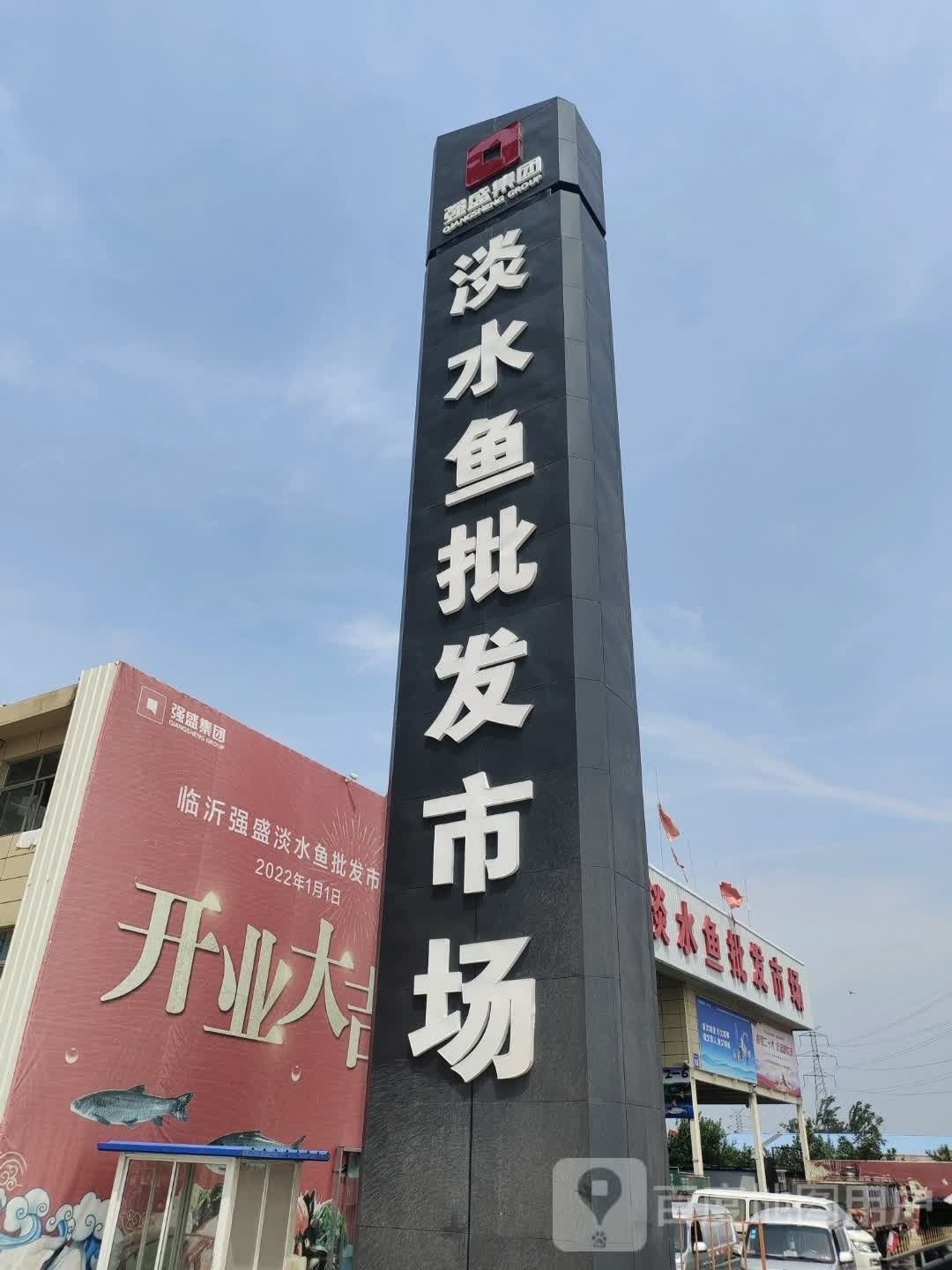 臨沂河?xùn)|龍魚