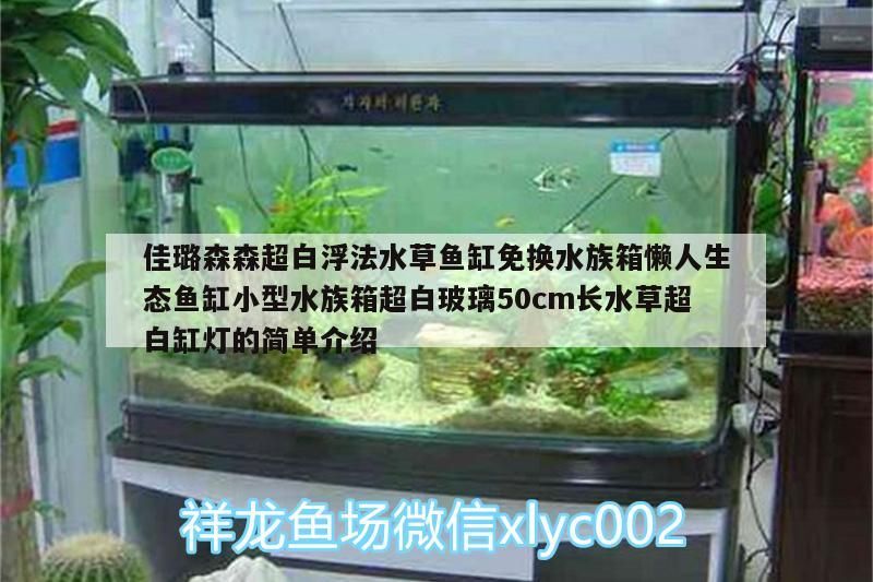 佳璐森森超白浮法水草魚缸免換水族箱懶人生態魚缸小型水族箱超白玻璃50cm長水草超白缸燈的簡單介紹