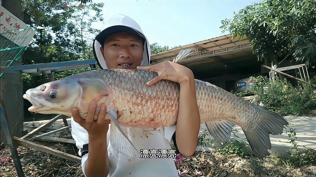 九龍江魚類大全