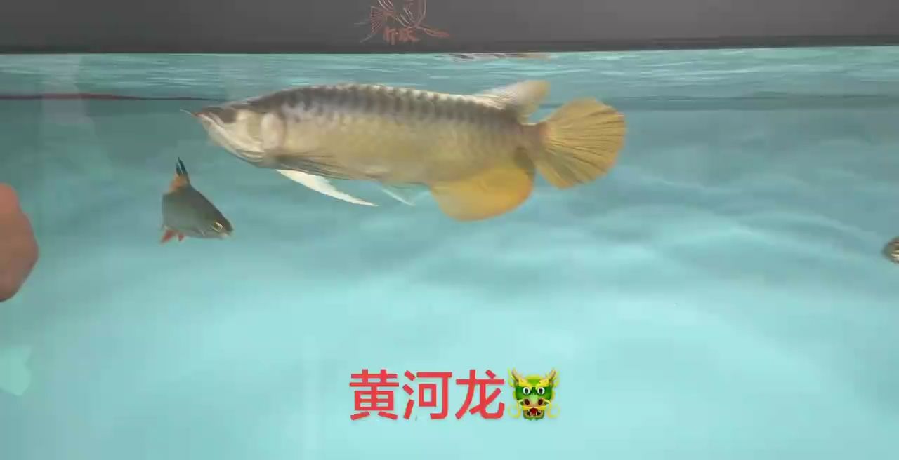 狀態嘎嘎猛