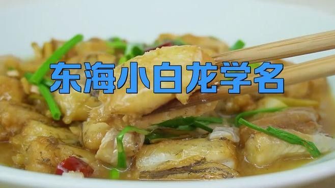 東海龍魚和龍魚的區別