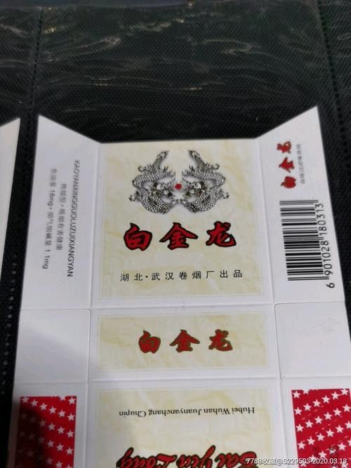 白金龍 白金龍 觀賞魚百科 第8張