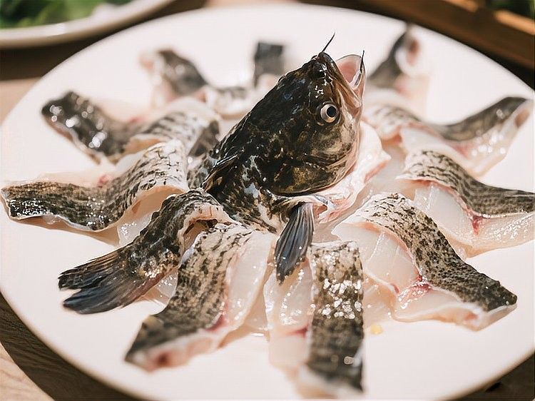 大日玉鯖魚最忌諱三個東西 大日玉鯖魚最忌諱三個東西 觀賞魚百科