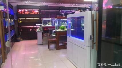裝修魚缸設計方案(2022小戶型裝修魚缸怎么設計) 觀賞魚百科 第1張 裝修魚缸設計方案(2022小戶型裝修魚缸怎么設計) 裝修魚缸設計方案(2022小戶型裝修魚缸怎么設計) 觀賞魚百科 第1張