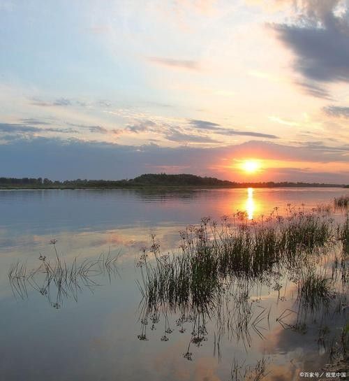 四平市二龍湖風景區 四平市二龍湖風景區 觀賞魚百科 第5張