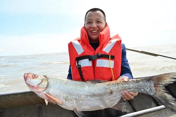 龍江河有什么魚 龍江河有什么魚 觀賞魚百科 第4張