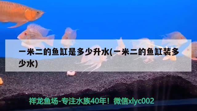 魚缸過濾器選購指南:自制魚缸過濾器魚缸上置過濾器對于養魚愛好者的必備知識 一米二的魚缸是多少升水(一米二的魚缸裝多少水) 觀賞魚百科 一米二的魚缸是多少升水(一米二的魚缸裝多少水) 一米二的魚缸是多少升水(一米二的魚缸裝多少水) 觀賞魚百科