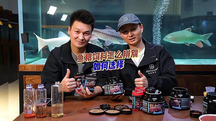 委內瑞拉紅勾丁魚最忌三種食物