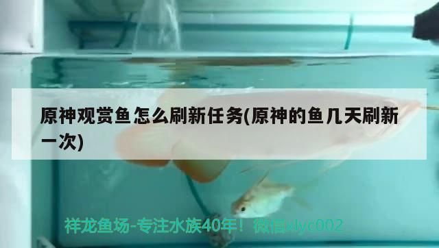 原神觀賞魚怎么刷新任務(原神的魚幾天刷新一次)