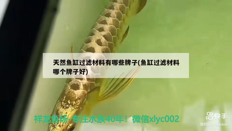 天然魚缸過濾材料有哪些牌子(魚缸過濾材料哪個(gè)牌子好)