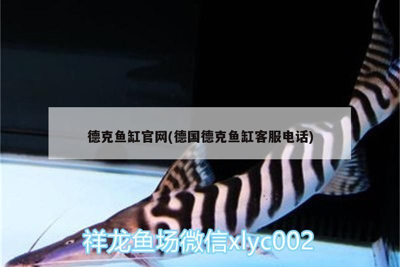 德克魚缸官網(德國德克魚缸客服電話)