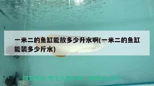 一米二的魚缸能放多少升水啊(一米二的魚缸能裝多少斤水)