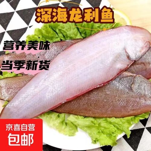 現(xiàn)龍力魚 現(xiàn)龍力魚 觀賞魚百科 第7張