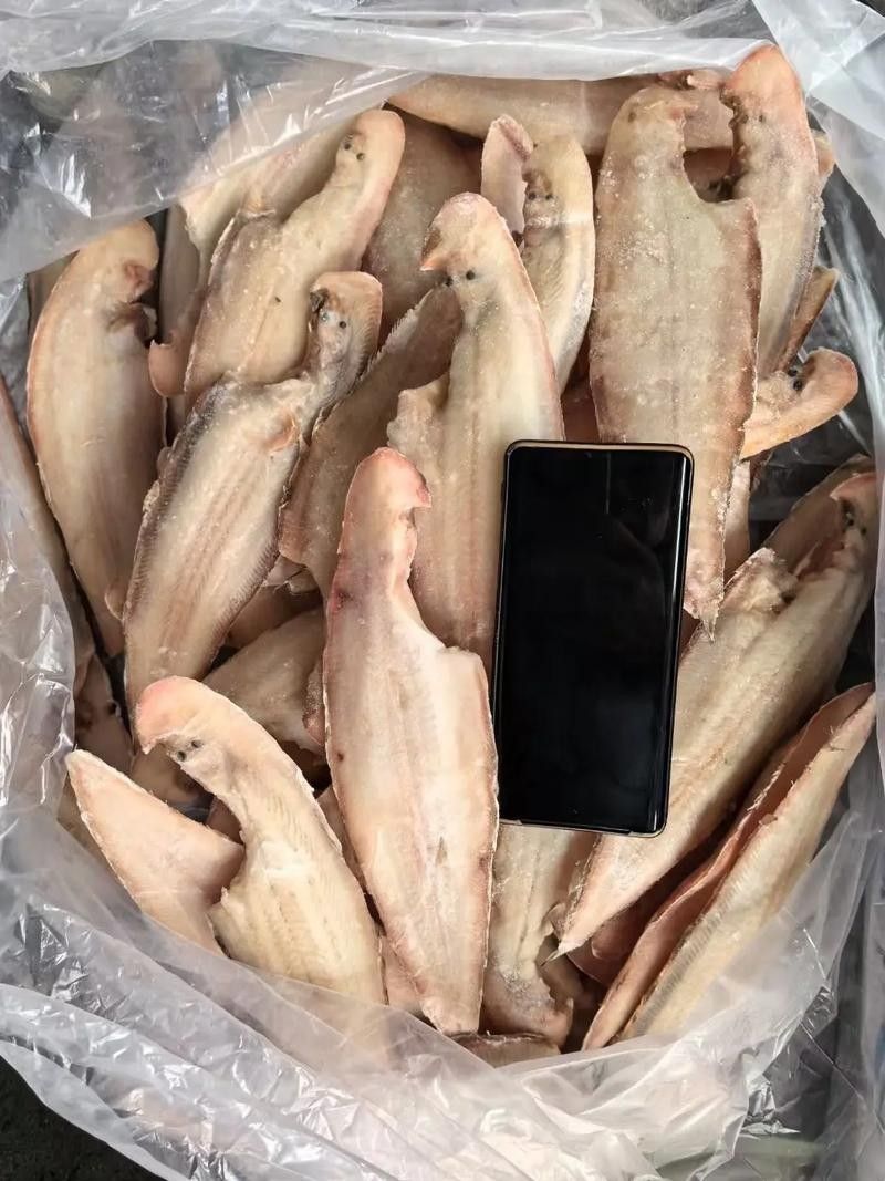 現(xiàn)龍力魚 現(xiàn)龍力魚 觀賞魚百科 第5張