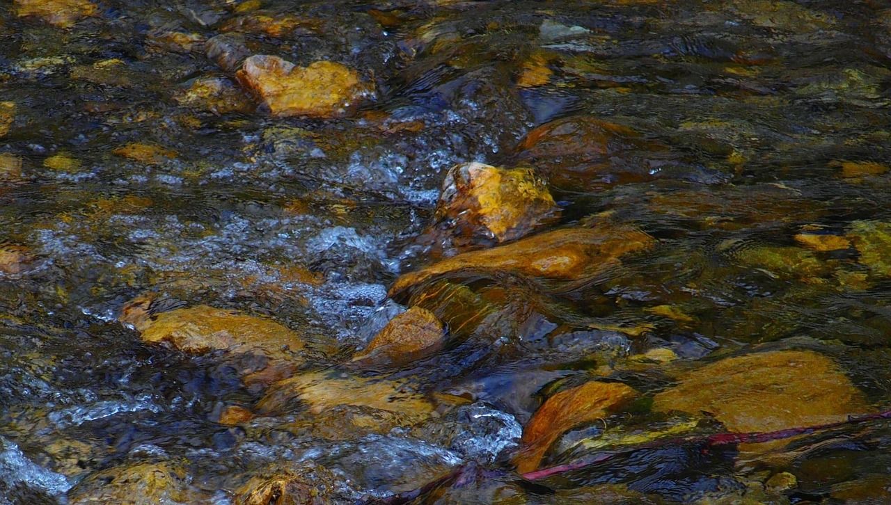 石頭布景魚缸造景圖片（什么石頭造景好）