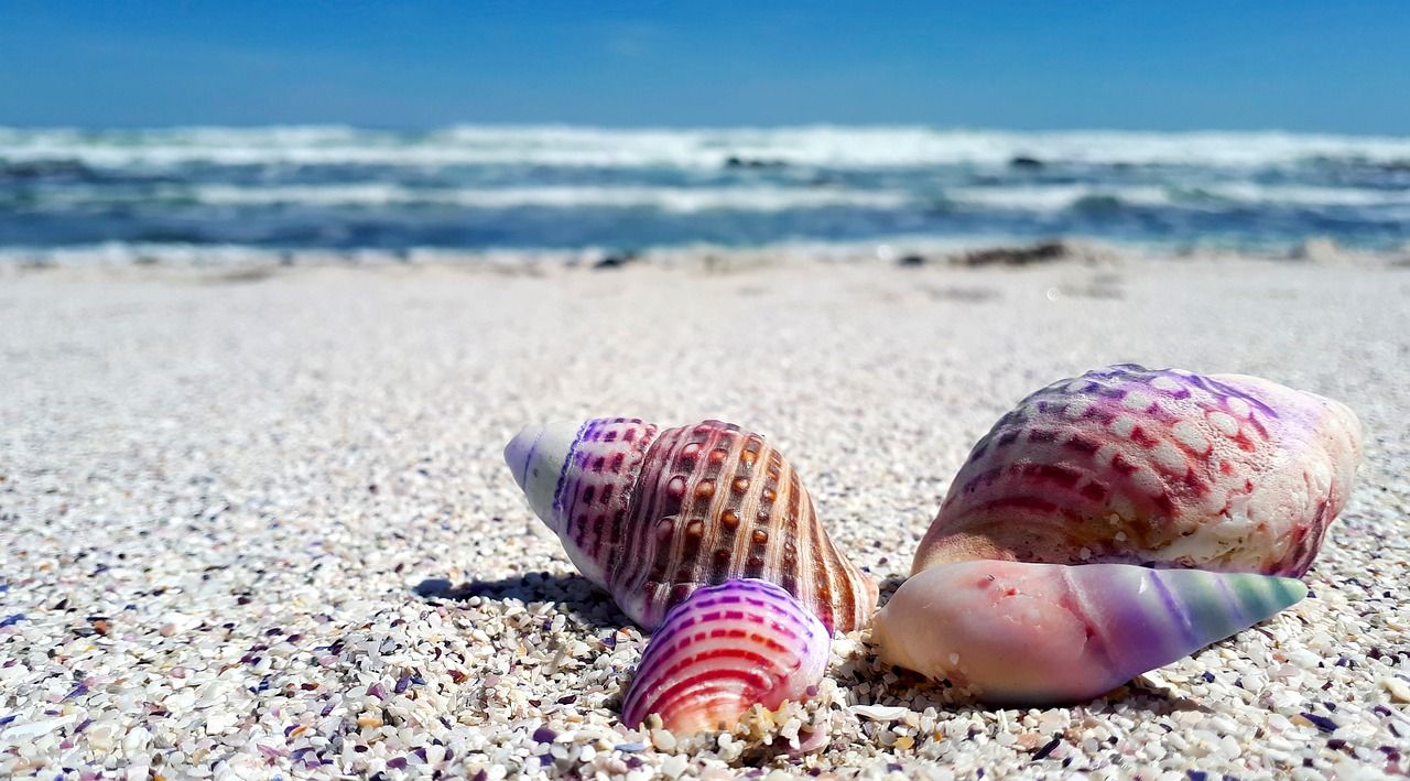 彩虹雷龍魚喜歡什么環境（彩虹雷龍魚能和什么魚混養）