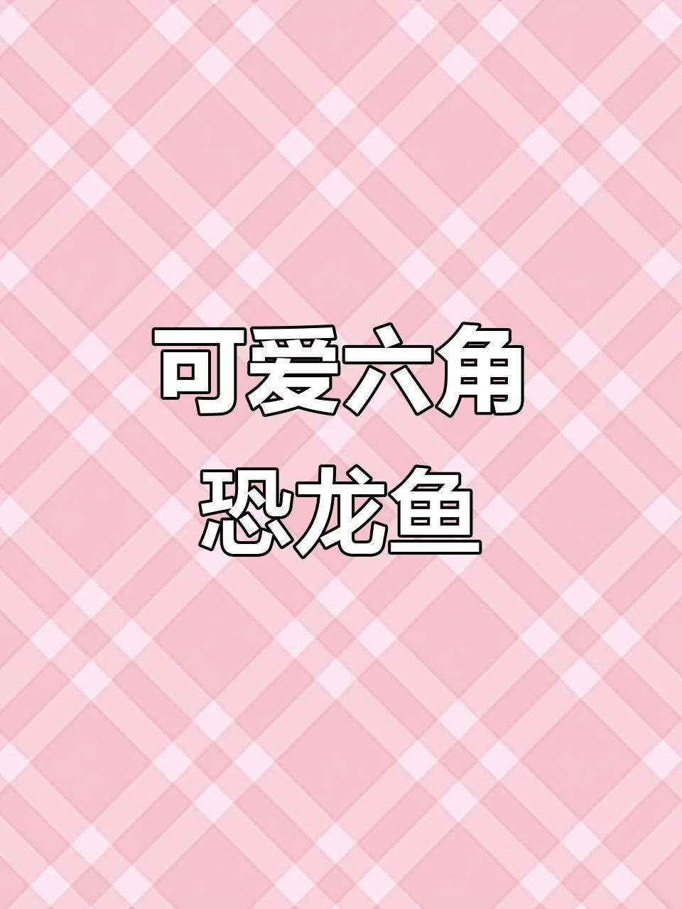 六角龍魚照片 六角龍魚照片 觀賞魚百科 第13張