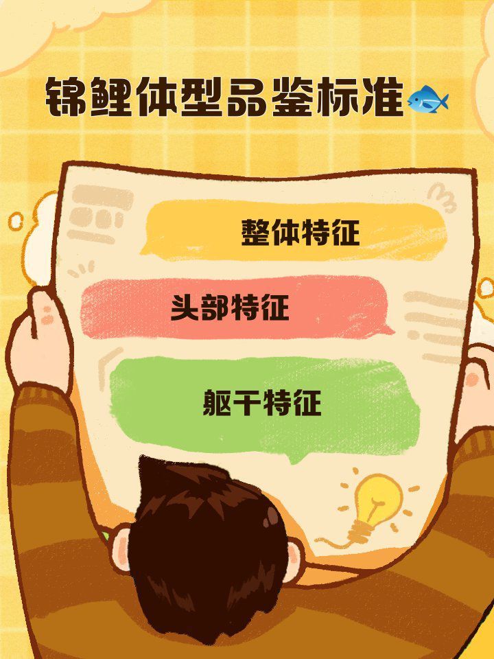 如何鑒別真假名貴觀賞魚？