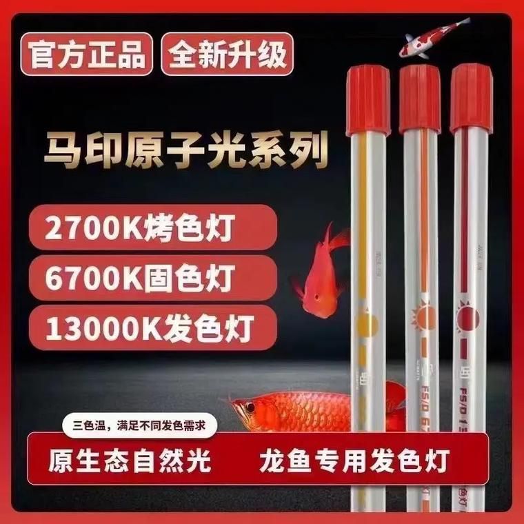 推薦幾款龍魚發(fā)色燈品牌